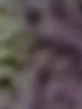 Snapshot of Hot-Sana2 chatting on 13, 1, 2026 Hot-Sana2 online show from 13, 1, 2026