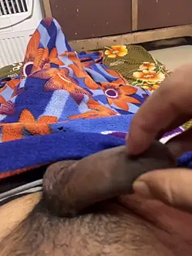 porn ritik online show from 29, 11, 2025