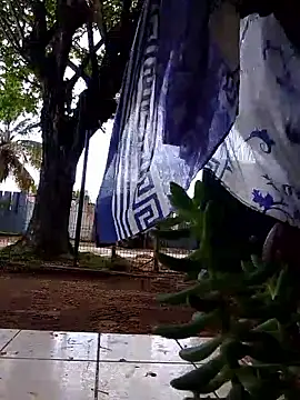 moreninho564 online show from 25, 11, 2025