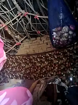 Jooli cuty online show from 21, 2, 2026