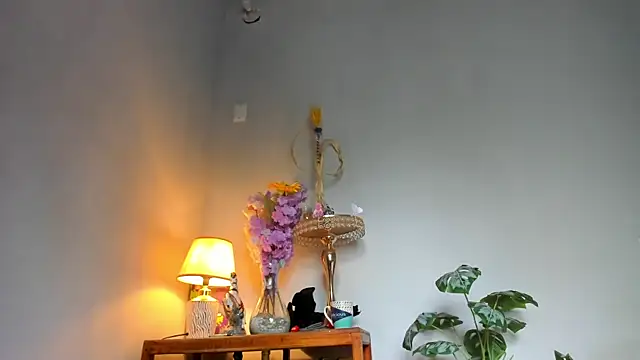 lucian davii online show from 22, 4, 2026