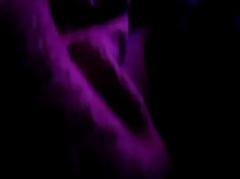 Snapshot of akram306 chatting on 14, 11, 2025 akram306 online show from 14, 11, 2025