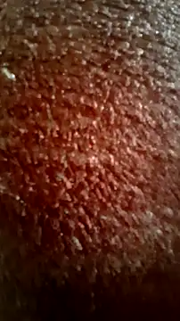 Snapshot of CEEKAYPRO chatting on 15, 3, 2026 CEEKAYPRO online show from 15, 3, 2026