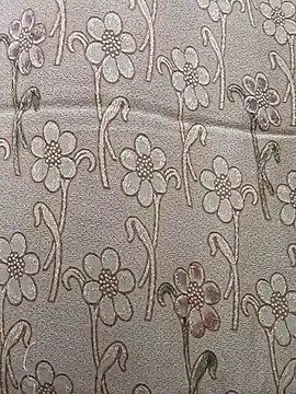 sanjana077 online show from 27, 4, 2026