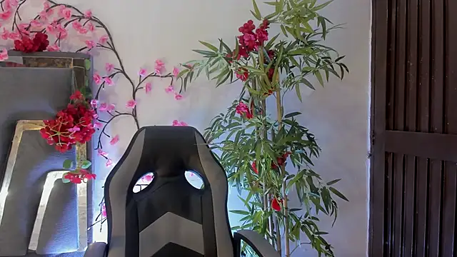 DanfneTorres online show from 19, 11, 2025