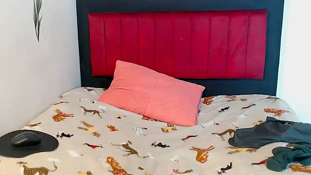 AMARYXS online show from 13, 2, 2026