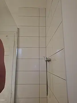 TirelessLot3 online show from 26, 4, 2026