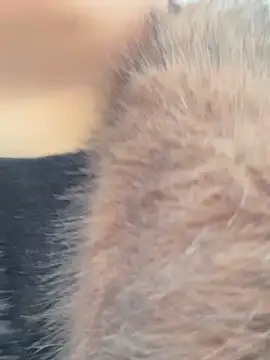 SashaCatt online show from 23, 11, 2025