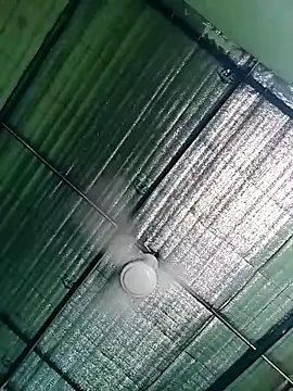 Keya-009 online show from 25, 4, 2026