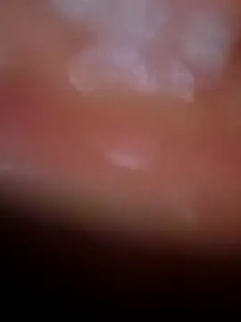 Nisha Hindi online show from 25, 11, 2025