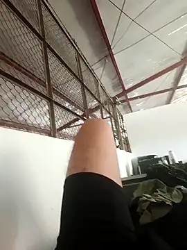 MonasticCanine online show from 31, 1, 2026