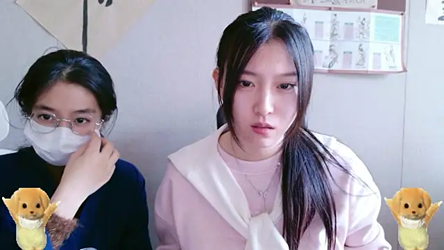 ZhaoZhaoDaWang online show from 15, 11, 2025