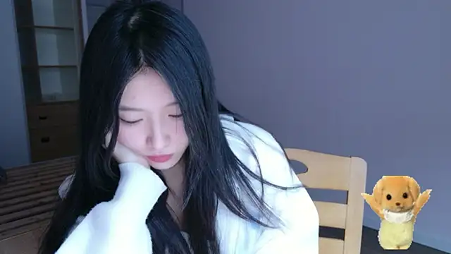 ZhaoZhaoDaWang online show from 27, 11, 2025