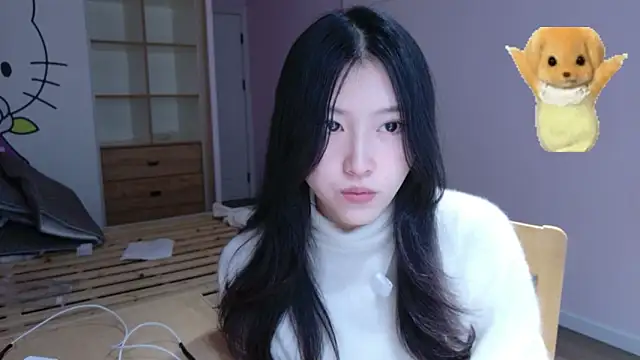 ZhaoZhaoDaWang online show from 28, 11, 2025