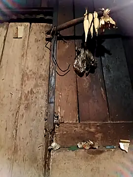 -Chua-90 online show from 26, 2, 2026