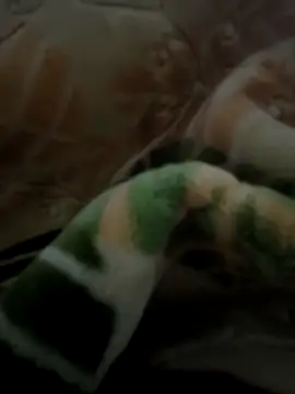 sosalAltimeter online show from 29, 11, 2025