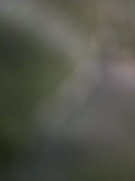 LynkLyy2k online show from 28, 11, 2025