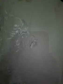 dalou3a22 online show from 20, 12, 2025