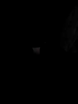 arcacsel online show from 25, 11, 2025