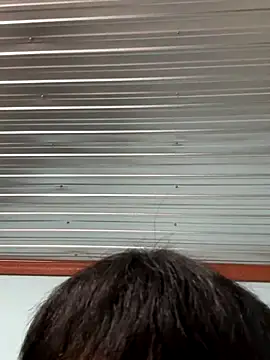 MEFUN- online show from 16, 12, 2025