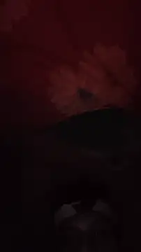 Ritik143jhil online show from 25, 4, 2026