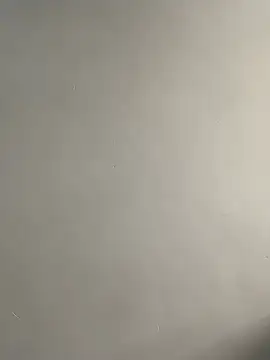 bigass256 online show from 29, 3, 2026