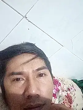 ptc 2588 online show from 24, 11, 2025