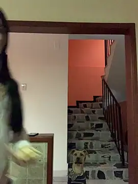 Dannii- online show from 11, 4, 2026