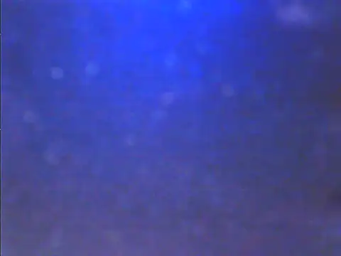 Sweet dove05 online show from 26, 11, 2025