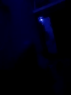 starnighcouple online show from 26, 4, 2026