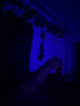 kingping87 online show from 26, 9, 2025