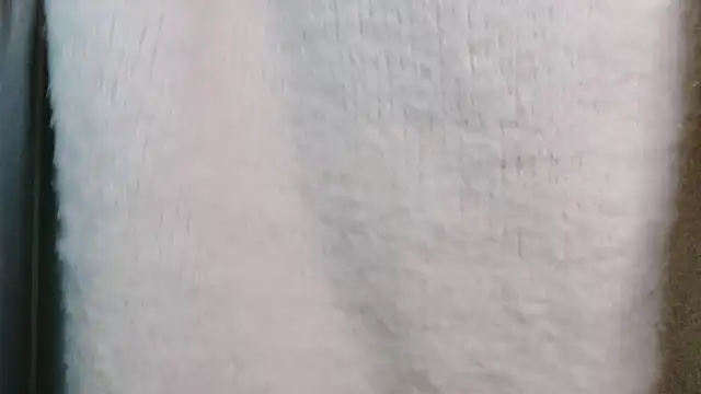 Snapshot of miyu0003 chatting on 24, 11, 2025 miyu0003 online show from 24, 11, 2025