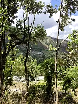 Cute Lucky online show from 9, 4, 2026