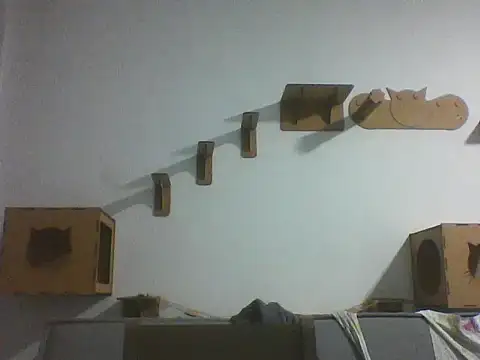 Temp7 online show from 25, 2, 2026