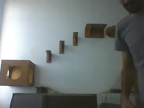 Temp7 online show from 7, 3, 2026