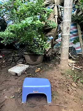 XndSeraphina online show from 3, 12, 2025