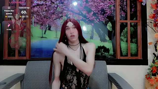 britanny noroeste online show from 25, 4, 2026