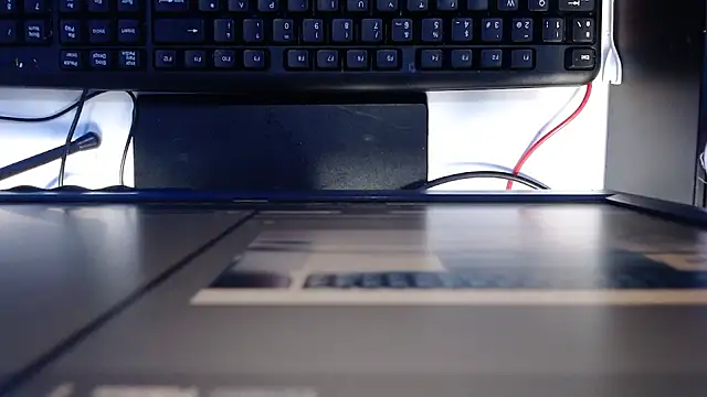 madisson 768 online show from 24, 2, 2026