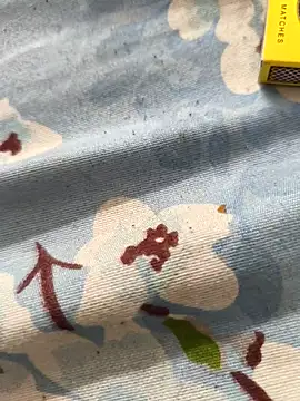 paro22 sex online show from 23, 4, 2026