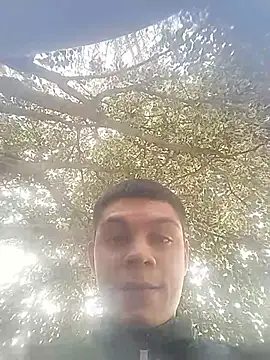 sebastianfelipe online show from 2, 6, 2026