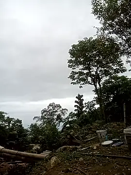 nangmo online show from 23, 4, 2026