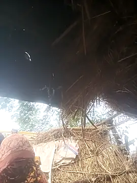 Hot srei online show from 1, 12, 2025