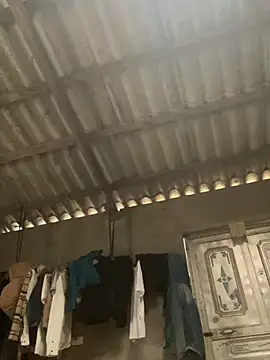 meganmeo online show from 25, 4, 2026