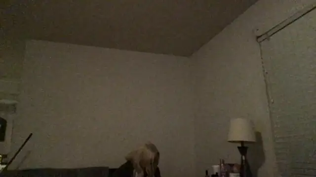 Babyboobabybye08 online show from 6, 3, 2026