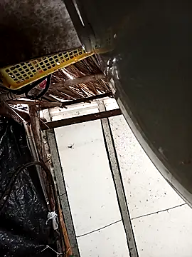 Lin-kute98 online show from 23, 4, 2026