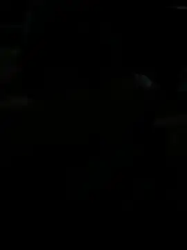 BigDick-A-Money online show from 28, 4, 2026