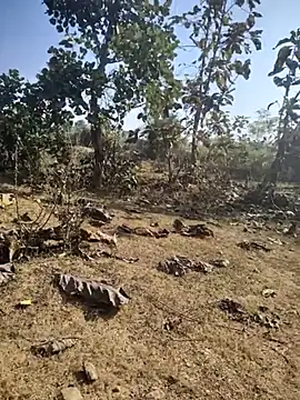 88zaifkhan88 online show from 7, 1, 2026