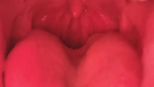 LT-333 online show from 11, 1, 2026