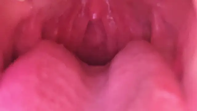 LT-333 online show from 18, 1, 2026