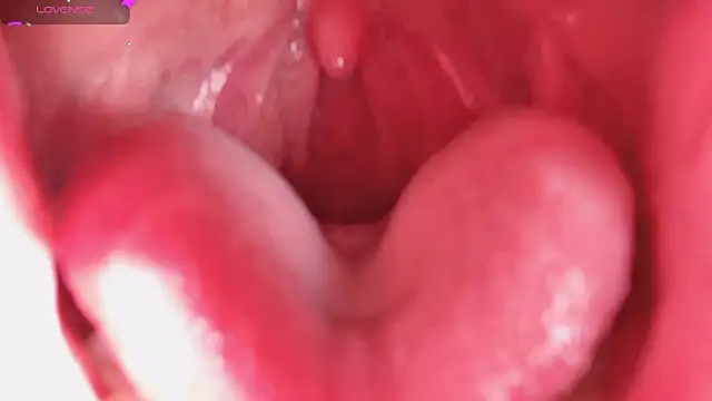 LT-333 online show from 5, 2, 2026